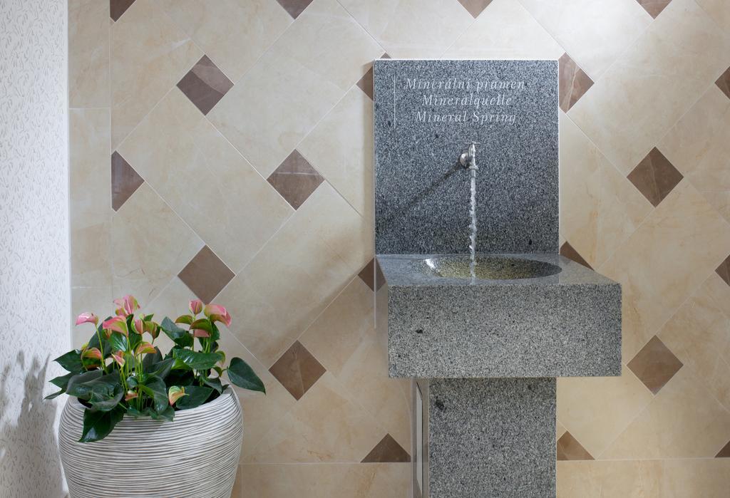 Badenia Hotel Praha Frantiskovy Lazne Luaran gambar